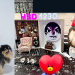 Taecember: ‘China Baidu VBar’ menciptakan zona ‘Layover’ dengan boneka Yeontan besar untuk ulang tahun BTS V (Kim Taehyung)