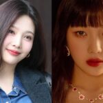 Netizen mengatakan Joy Red Velvet terlihat lebih baik sebelum melakukan perawatan matanya