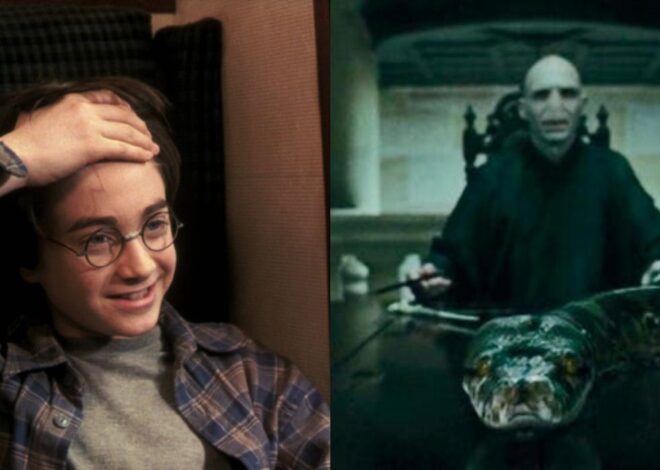 Mengapa Lord Voldemort Tidak Mengutuk Horcrux Lain Seperti yang Dia Lakukan pada Gaunt Ring